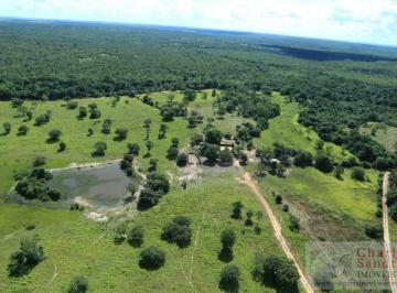 20221117113313217694.jpg · Fazenda para Venda em Natividade, Zona Rural, 2 dormitórios, 1 banheiro, 1 vaga