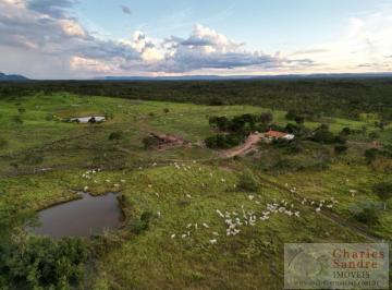 2024032212542293346.jpg · Fazenda para Venda em Paranã, Zona Rural, 4 dormitórios, 1 suíte, 2 banheiros, 2 vagas