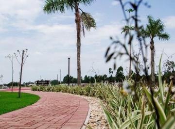 441632.jpg · Terreno - Bairro Praia Caravelle