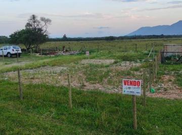 202508251622433624.jpg · Terreno para Venda em Florianópolis, Armação do Pântano do Sul