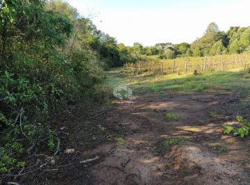 708333_iU3olZ29s536Xt_70833368ab49661513a.jpg · Terreno de 714m² no Vele dos Vinhedos