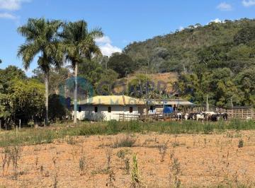 baf58f945329dc90f172979b7bf2c5ca.jpeg · Fazenda / Sítios / Chácaras à venda em Alvinópolis, no bairro Dias