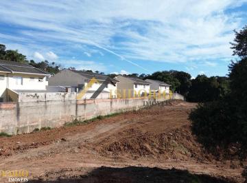 9LPmNmZW6iTTp2sWddZ2O1pO-whatsapp-image-2025-08-07-at-180811-2.jpg · TERRENO ZR3 NO CACHOEIRA! 4.000m² DE ÁREA TOTAL