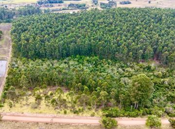 Rural , Parobé · Sítio/Chácara em Parobé/RS na Localidade da Fazenda Pires