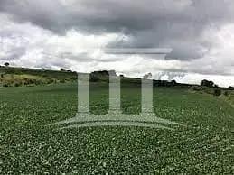 Zg00aIQEOwjhqvvGH0BgzKO8_ACnspUf7L4D4NiIeXT5jD3WX2nH56EFR4EPveZTEHmqntA4zql4pxymf1qhnPj-HuAooEDr92j-9SljLu2V1A=w1920-h1080.jpg · 1000 HECTARES PLANTA 800 R$ 72.000.000,00