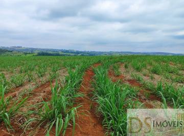 Foto 01 · EXCELENTE FAZENDA À VENDA EM ITAPETININGA/SP ? 42 ALQUEIRES, CANA PRÓPRIA, SOLO FÉRTIL, HIDROGRAFIA 