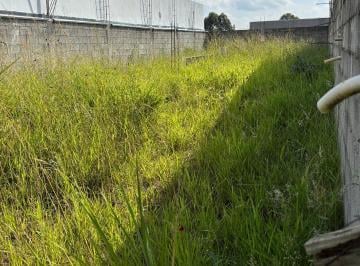 Terreno , Caieiras · Terreno Plano e Quitado no Jardim Europa - Caieiras - sp