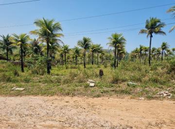 202501161940347476.jpeg · Terreno para Venda em Saquarema, Bicuíba