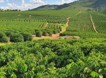 202508111713592232.jpeg · Fazenda para Venda em Perdões