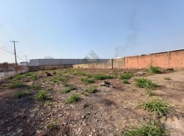 Comercial · 538m² · Galpão Comercial para Locação no Bairro Jardim Salgado Filho em Ribeirão Preto/SP.