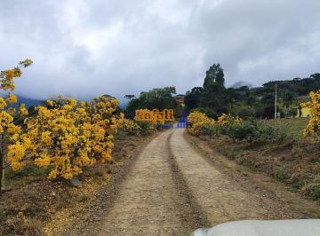 jon6flm2ogfkyzmyndjmnzi0_md · Chácara com casa venda em Urubici- SC na serra, araucárias, linda vista e pomar
