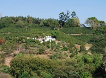 fb6ee8ee1da3c1a4138ae5c0081f98e6.jpeg · Fazenda / Sítios / Chácaras à venda em Ouro Fino, no bairro Zona Rural