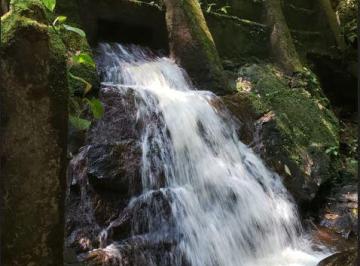 Rural de 1 quarto, Juquitiba · Chácara em Juquitiba com cachoeira COD: 5761 F:(11) 97302-9229 CESAR
