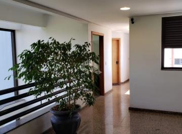 Comercial · 42m² · Ampla Sala Comercial na Washington Luiz, 500 andar alto de frente, medindo 41,85m2