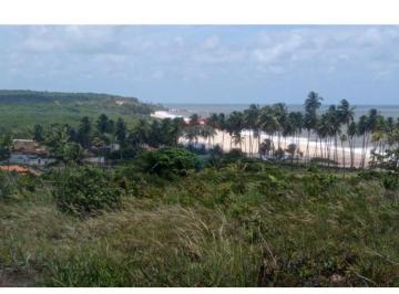 Terreno , Pitimbu · VISTA PERMANANTE PARA O MAR