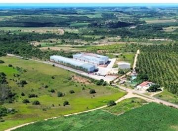 Comercial · 8100m² · 10 Vagas · Base Galpões – A Base para o Sucesso do Seu Negócio no Conde-PB!