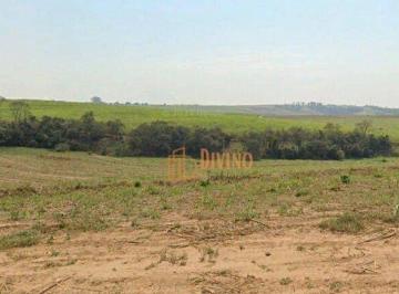 2015897789ddae1d7e4312022cf3d10260937558 · Excelente Fazenda de Cana à Venda – Região de Porto Feliz/SP