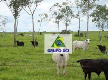 10935fa82b21c6064b1def48c7c3ade908555e1d · Fazenda à venda, 800000000 m² por R$ 5.500.000.000,00 - Zona Rural - Porto Alegre do Norte/MT