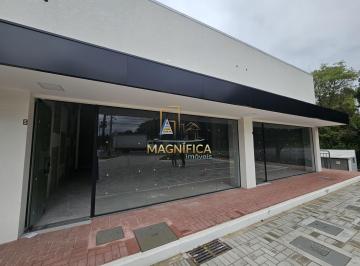 Comercial · 238m² · 1 Quarto · Loja - Santo Inácio.Que tal montar sua emp