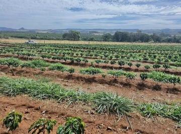 Rural de 6 quartos, Santo Antônio da Alegria · Belo sítio café irrigados ,casa boa 