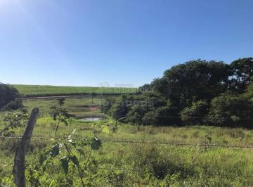 Rural · 562650m² · Fazenda de 23,25 Alqueires Rica em Água e Pastagem