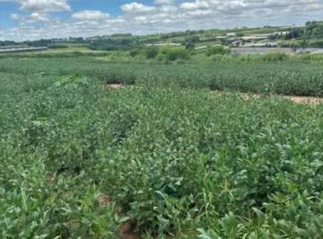 16834b7997935177edd27d09387a69a1dc634ff1 · Área à venda, 25000 m² por R$ 1.450.000,00 - Parque Industrial Batistela - Artur Nogueira/SP