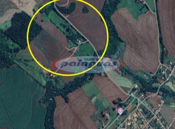 Comercial · 116160000m² · VENDA | Negócio, em Água Boa, Paiçandu