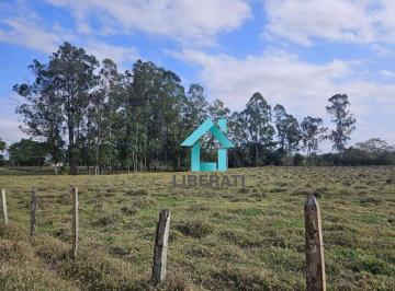 9abf4487ff12c183cc64628f6ebec6da86c3db02 · Sítio à Venda, Bairro Campo de Boituva, Boituva - SP. Plano e Rico em Água ...