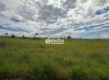 Terreno · 293m² · Terreno disponível para venda no bairro Ecopark em Uberlândia-MG