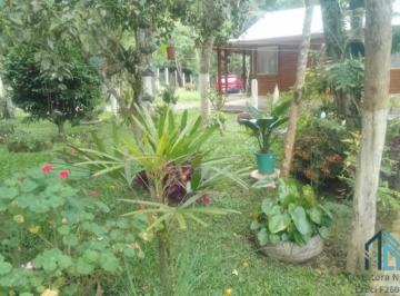 Foto 13 · (PERMUTA) Chácara a venda c/ casa 04 quartos, em São José dos Pinhais PR