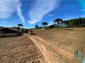 Foto 32 · Chácara a venda, com 02 excelente Barracões novos, em Mandirituba/Tijucas do Sul PR