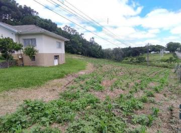 Foto 01 · Terreno/área a venda, 20 Hectares em São Roque, Flores da Cunha RS