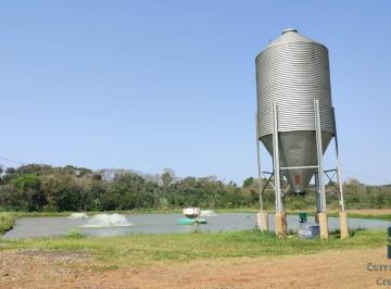 Foto 01 · Sítio Produtivo de 5 alqueires, 7 tanques, em São Miguel do Iguaçu PR