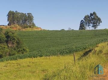 Foto 01 · Sítio com 121.000 mil m² a venda, com Infra estrutura, no IRETEMA /Campo Mourão PR