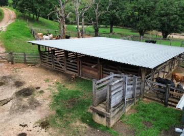 Foto 12 · Fazenda a venda 82 alqueires em  Campinacu -Goiania - GO