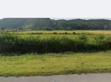 Foto 07 · Terreno em Biguaçu - SC, com 140mil m2, 04 frentes, 2 frentes para a BR.