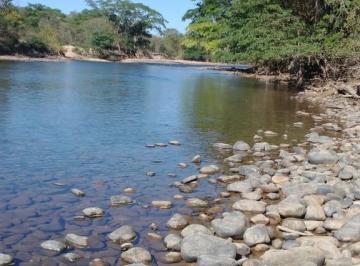 Foto 01 · Fazenda a venda Oportunidade Única em Niquelândia Goiás- GO