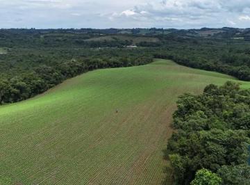 Foto 01 · Área com 10 alqueires divisa com Rio Verde em Campo Largo - PR