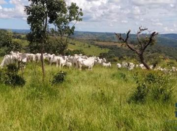 Foto 18 · Fazenda em  Abadiânia, muita água (permuta total se for em Goiânia) GOIANIA - GO