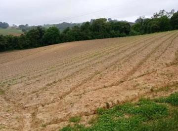 Foto 07 · Área para plantio, bem localizada, asfalto na frente próximo a tudo em São José dos Pinhais PR