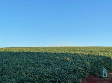 Foto 01 · Sítio lindo a venda em ótima localização linha União da Serra em Guaraniaçu - PR