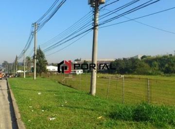 Terreno · 16000m² · Área, 16000 m² - venda por R$ 25.000.000,00 ou aluguel por R$ 120.000,00/mês - Butantã - São Paulo/S