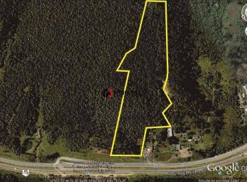 Terreno · 63203m² · Área à venda, 63202 m² por R$ 8.220.000,00 - Itapecerica da Serra - Itapecerica da Serra/SP