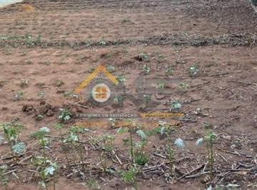 Foto 01 · TERRENO PARA VENDA - RECANTO CAMPESTRE INTERNACIONAL DE VIRACOPOS GLEBA 3 - INDAIATUBA/SP