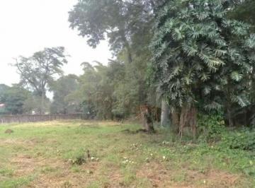 Foto 01 · Terreno, Cidade Dutra, São Paulo, SP
