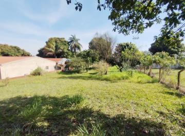 Rural · 4 Quartos · 12 Vagas · VENDA | Chácara, com 4 dormitórios em VILA RURAL ANTONIO TOMAZIMI, Flórida