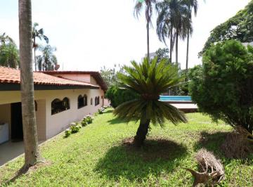 IMG_20260614_105455_000.jpeg · Atraente casa para locação em Vila Albertina com 3 quartos, sendo 3 suítes, 534m² - remaxmamede#JMQR