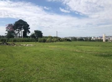 Terreno · 24167m² · Terreno á venda com frente para Castelo Branco em Alphaville