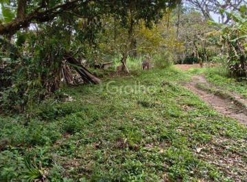 05 · Terreno de 6.284m² no Pantanal