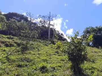 Terreno , Cambuí · Nascente da mata 